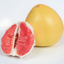 2021 Hot Selling New Yummy Shaddock Fresh Fruit Red Pomelo With Low Price